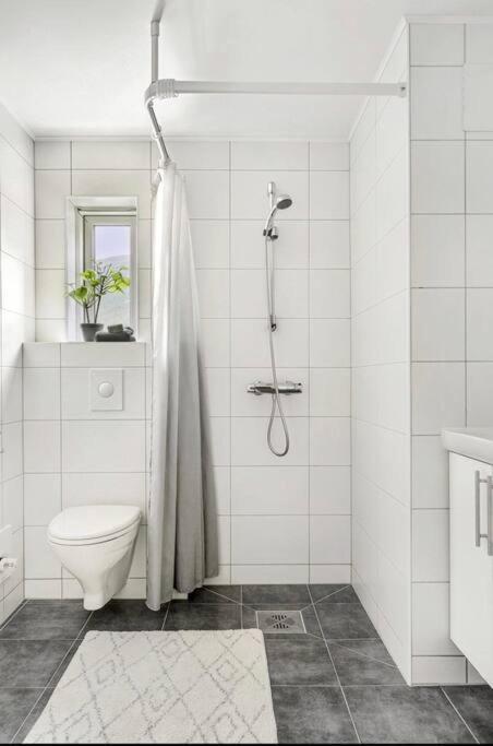 Northern Dreams Apartment With Free Parking Tromsø Buitenkant foto