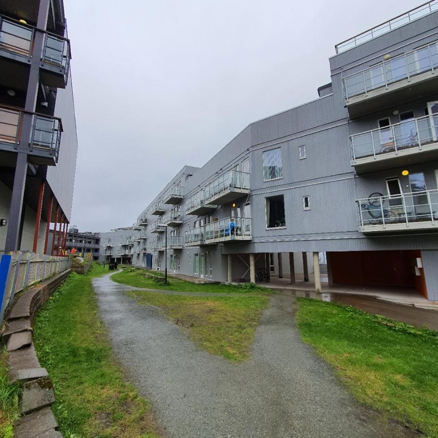 Northern Dreams Apartment With Free Parking Tromsø Buitenkant foto