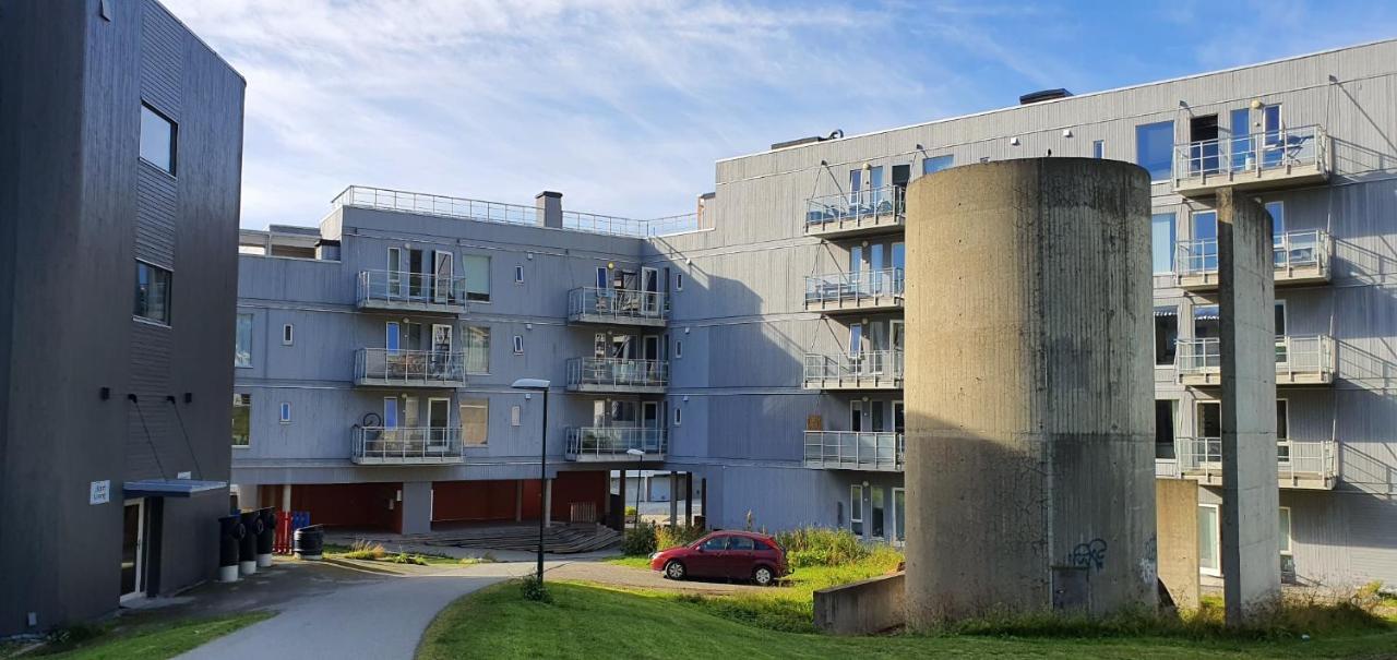 Northern Dreams Apartment With Free Parking Tromsø Buitenkant foto